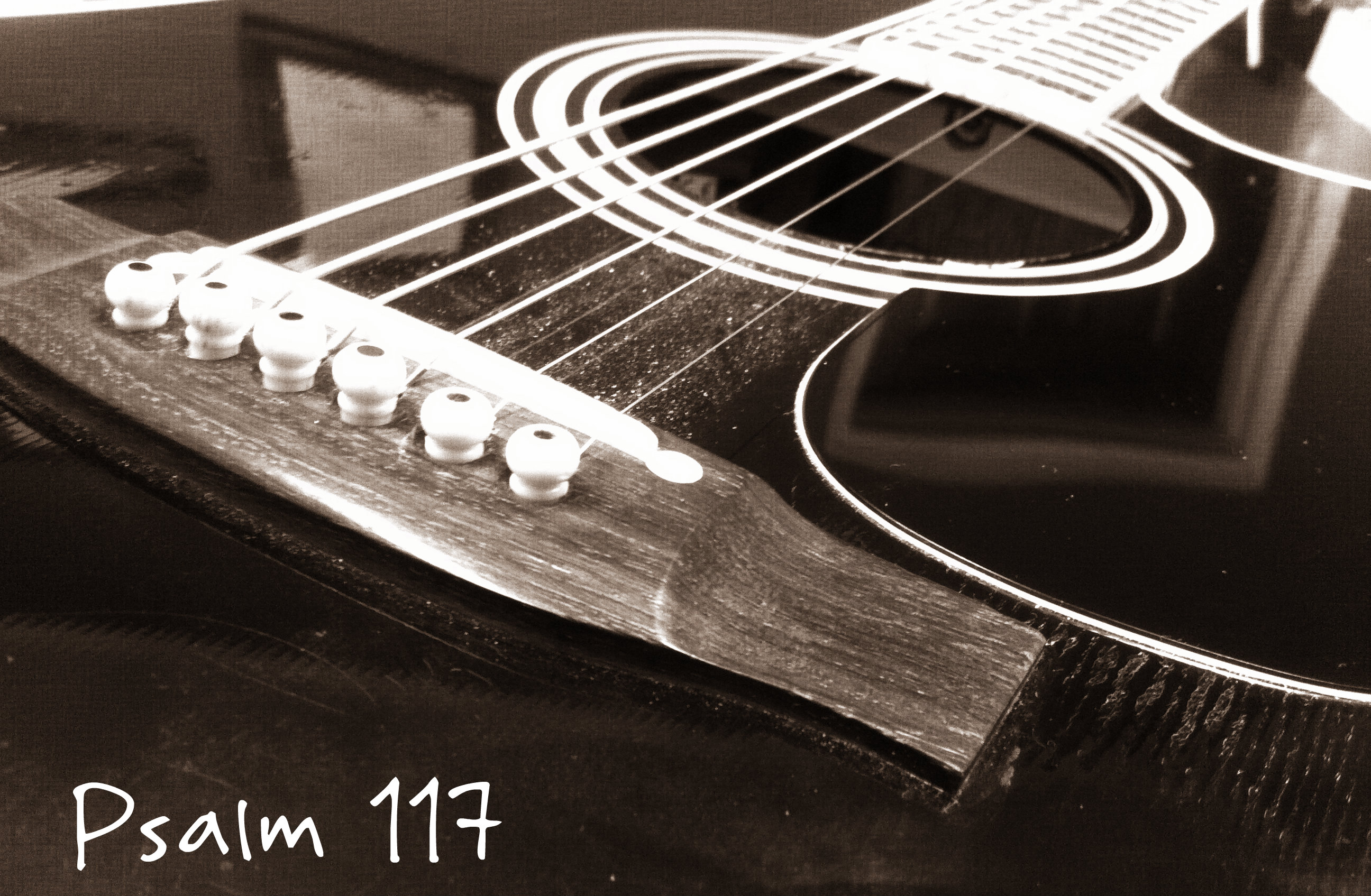psalm117