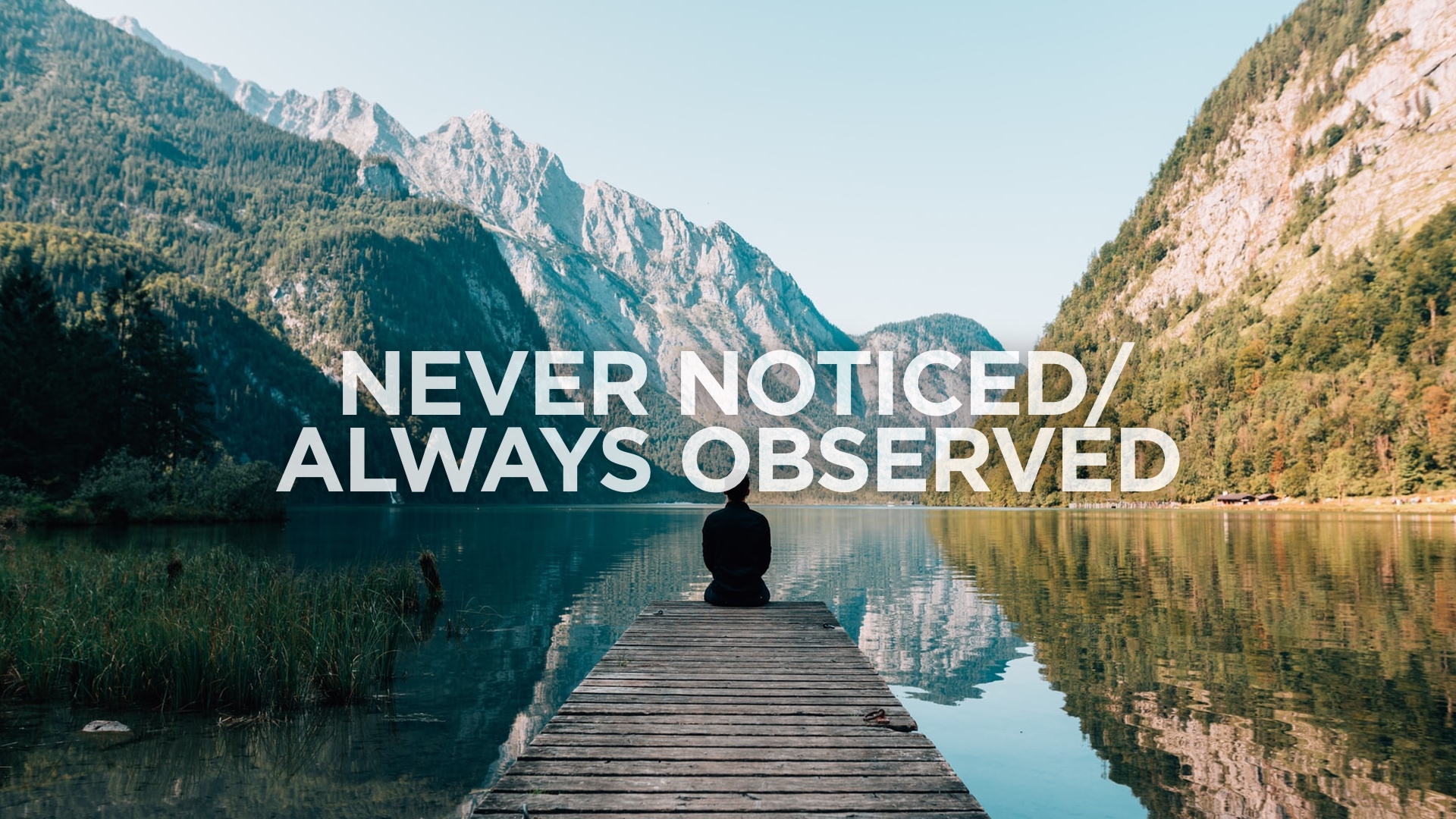 Never Noticed/Always Observed